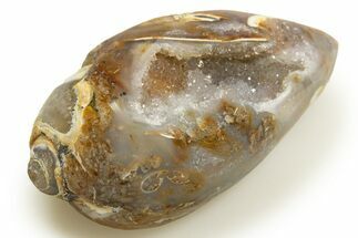 Chalcedony Replaced Gastropod With Sparkly Quartz - India #318722