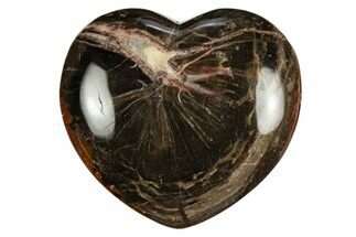 Colorful Polished Petrified Wood Heart - Arizona #311970