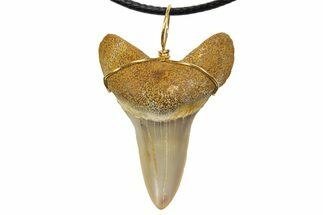 Fossil Mako Shark Tooth Necklace - Bakersfield, California #318836