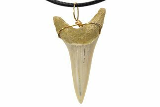 Fossil Mako Shark Tooth Necklace - Bakersfield, California #318839