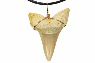 Fossil Mako Shark Tooth Necklace - Bakersfield, California #318846