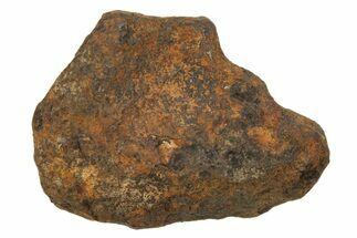 Mundrabilla Iron Meteorite ( g) - Australia #318877