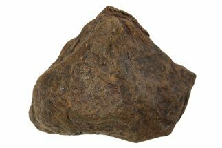 Mundrabilla Iron Meteorite ( g) - Australia #318882