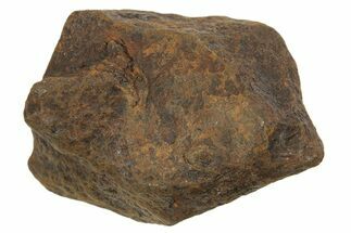 Mundrabilla Iron Meteorite ( g) - Australia #318888