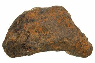 Mundrabilla Iron Meteorite ( g) - Australia #318892