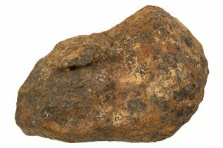 Mundrabilla Meteorite For Sale