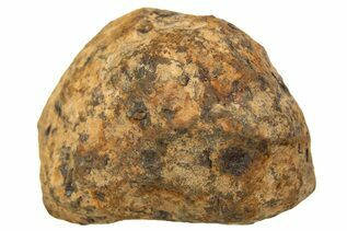 Mundrabilla Meteorite For Sale