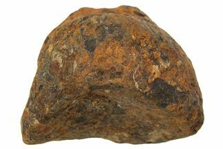 Mundrabilla Iron Meteorite ( g) - Australia #318930