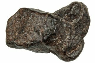 Carbonaceous Chondrite Meteorite ( g) - NWA #313762