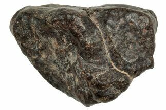 Carbonaceous Chondrite Meteorite ( g) - NWA #313779