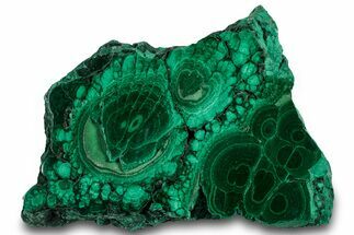 Flowery Polished Malachite Slab - DR Congo #319858