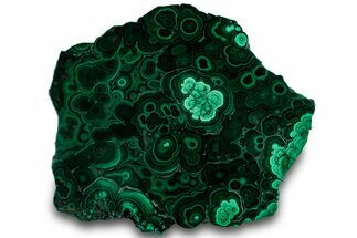Flowery Polished Malachite Slab - DR Congo #319862