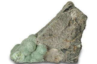 Botryoidal Green Wavellite Formation - Arkansas #320538