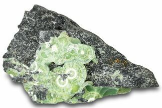 Green Wavellite Formation - Arkansas #320554