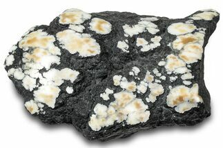 Polished Tick Canyon Howlite Nodule - California #321212