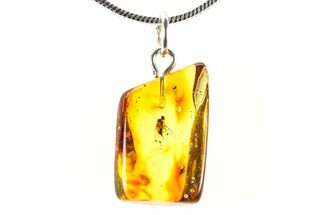 Polished Baltic Amber Pendant (Necklace) - Contains Fly! #321243