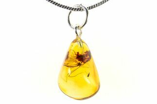Polished Baltic Amber Pendant (Necklace) - Contains Fly! #321244