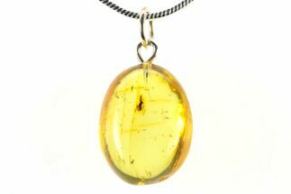 Polished Baltic Amber Pendant (Necklace) - Contains Fly! #321249