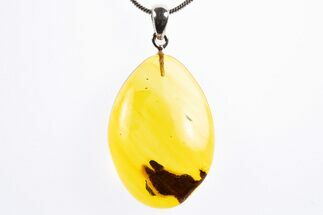 Polished Baltic Amber Pendant (Necklace) - Contains Fly! #322019