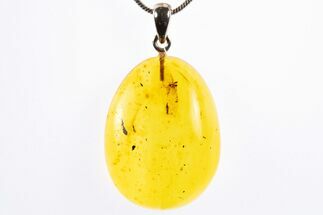 Polished Baltic Amber Pendant (Necklace) - Contains Three Flies! #322022