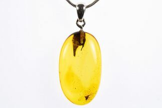 Polished Baltic Amber Pendant (Necklace) - Contains Fly! #322025