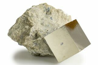 Natural Pyrite Cube In Rock - Navajun, Spain #322141