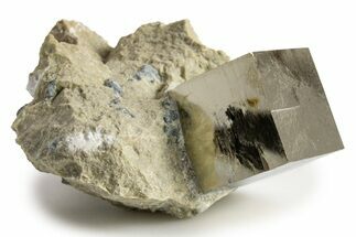 Natural Pyrite Cube In Rock - Navajun, Spain #322143