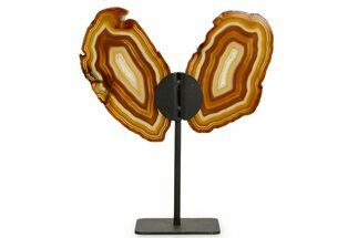 Agate Butterfly Wings - Brazil #322215