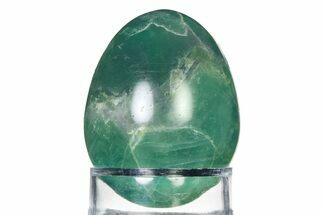 Polished Green Fluorite Egg - Fluorescent! #322473