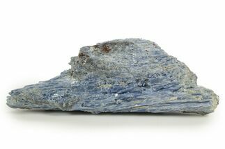 Vibrant Blue Kyanite Crystals and Staurolite In Quartz - Brazil #322564