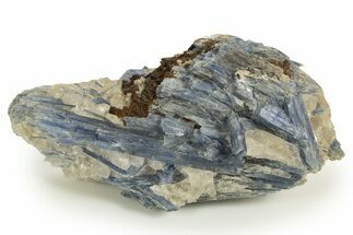 Vibrant Blue Kyanite Crystals and Staurolite In Quartz - Brazil #322579