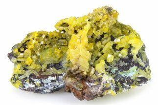 Yellow-Orange Pyromorphite Crystal Cluster - DR Congo #322622