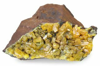 Lustrous Orange Pyromorphite Crystal Cluster - DR Congo #322629