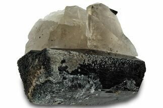 Black Tourmaline (Schorl) Crystal on Smoky Quartz - Namibia #322771