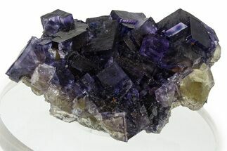 Yellow & Purple Fluorite Cluster - Cave-in-Rock, Illinois #322801