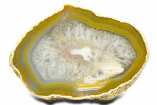Polished Queensland Agate - Australia #323015