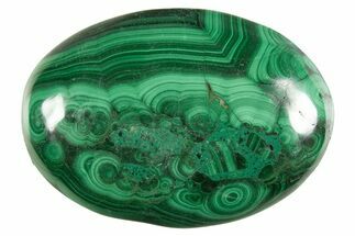 Polished Banded Malachite Palm Stone - DR Congo #321199
