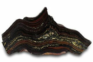 Polished Tiger Iron Stromatolite Slab - Billion Years #319364