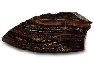 Polished Tiger Iron Stromatolite Slab - Billion Years #319444