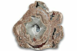 Polished Baker Ranch Thunderegg Slab - New Mexico #323775