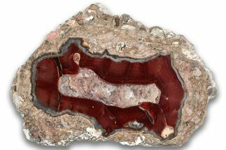 Polished Baker Ranch Thunderegg (Half) - New Mexico #323779