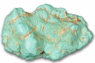 Teal Blue, Chilean Turquoise Nugget ( grams) #323792