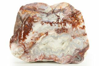 Polished Crazy Lace Agate Slab - Mexico #323867