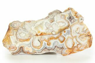 Polished Crazy Lace Agate Section - Mexico #323873