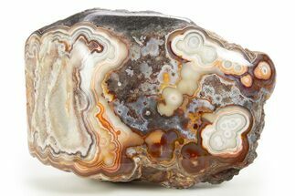 Polished Crazy Lace Agate Section - Mexico #323877