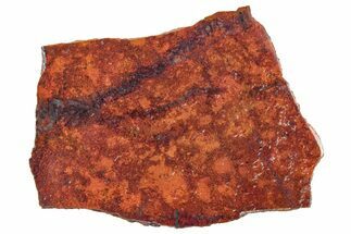 Vibrant Sonora Sunset (Chrysocolla Cuprite) Slab - Mexico #323906