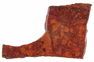 Vibrant Sonora Sunset (Chrysocolla Cuprite) Slab - Mexico #323916