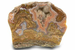 Polished Berber Agate Section - Sidi Rahal, Morocco #324030