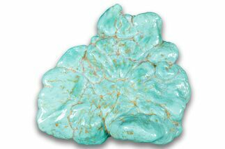 Polished Chilean Turquoise ( grams) Nugget #324110