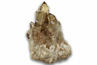 Smoky Citrine Crystal Cluster - Luena, DR Congo #324388